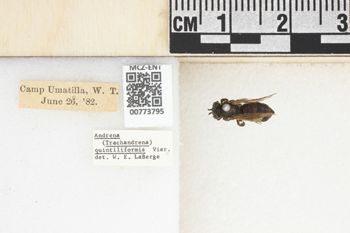 Media type: image;   Entomology 773795 Aspect: Labels